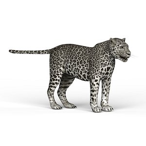 3D snow leopard model
