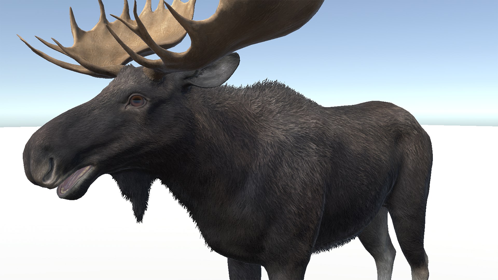 Moose - Bull 3D model https://p.turbosquid.com/ts-thumb/0m/MyoxH7/Am/r12/png/1696336867/1920x1080/fit_q87/b7c06eaee6b227aad737f948bd867270b49b57ff/r12.jpg