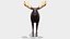 Moose - Bull