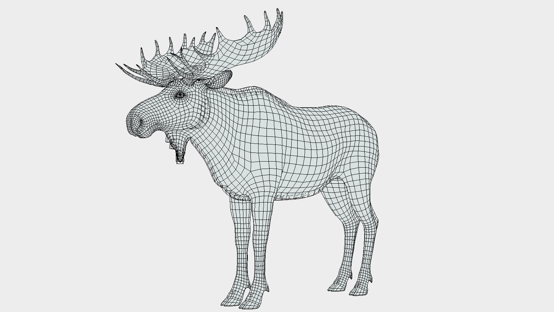 Moose - Bull 3D model https://p.turbosquid.com/ts-thumb/0m/MyoxH7/Y6/wire/png/1696336844/1920x1080/fit_q87/0a0ba0ee0aa08be9fd29fbfdcd16aec02c1a7cb9/wire.jpg