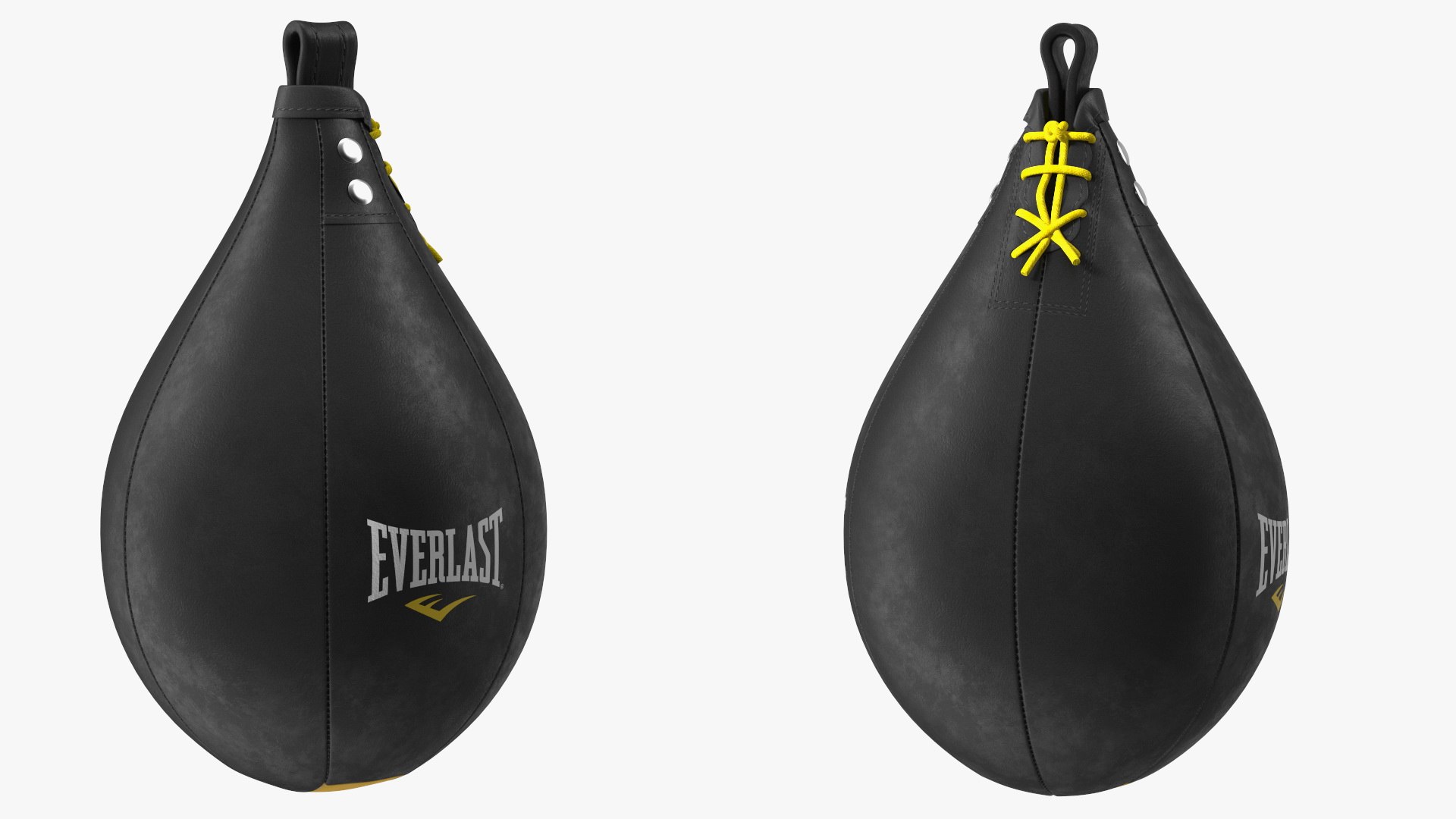 3D Everlast Leather Speed Bag TurboSquid 1836536