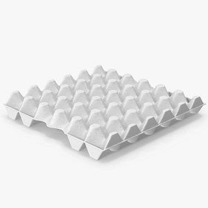 3D model Egg Carton
