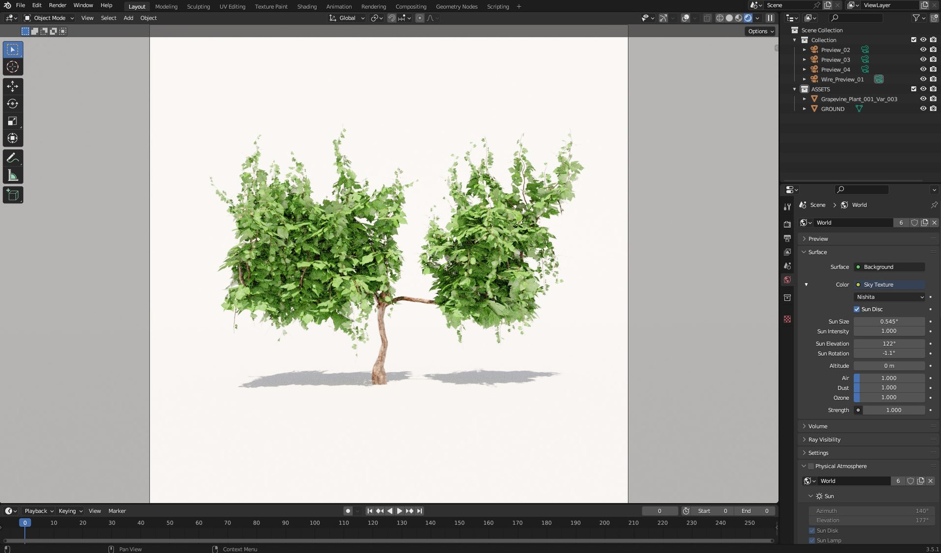 3D Model Grapevine Plant 001 Var 003 - TurboSquid 2084551