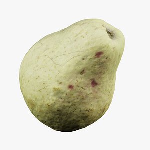 Guava 3D model