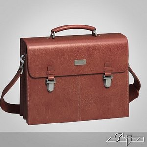 3d model leather case