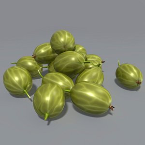 3ds max gooseberry ribes
