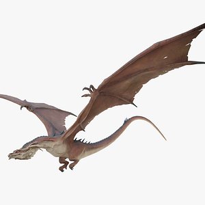 Dragon 3d Model Stylized 3D