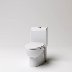 toilet(12)