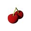 Cherry model