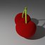 Cherry model