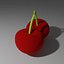 Cherry model