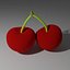 Cherry model