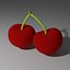 Cherry model