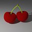 Cherry model