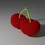 Cherry model