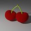 Cherry model