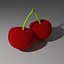 Cherry model