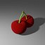 Cherry model