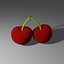 Cherry model