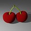 Cherry model