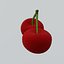 Cherry model
