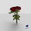 3D model bouquet roses