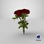 3D model bouquet roses