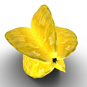 3D exotic fruit krambola model