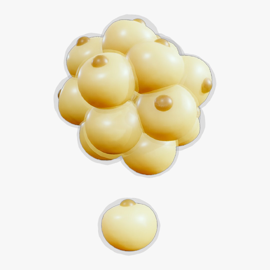 3D model Adipocyte Fat Cell Anatomy https://p.turbosquid.com/ts-thumb/0n/DxmqS4/Lq/adipocyte_fat_tumbnail/png/1767523571/1920x1080/fit_q87/dcb6afb24198d022a018c9d6c037a944179fdcbe/adipocyte_fat_tumbnail.jpg