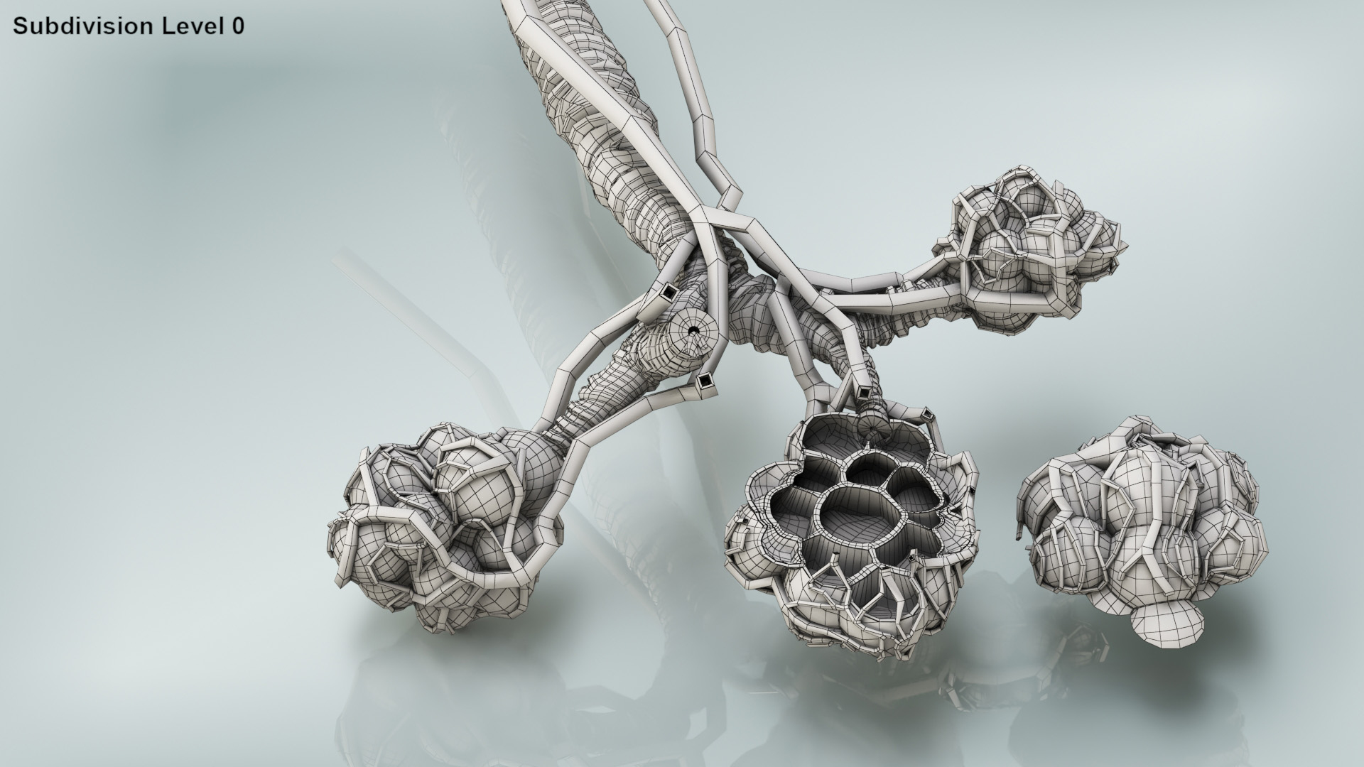 3D Bronchitis Alveoli Mucus Lungs - TurboSquid 1663222