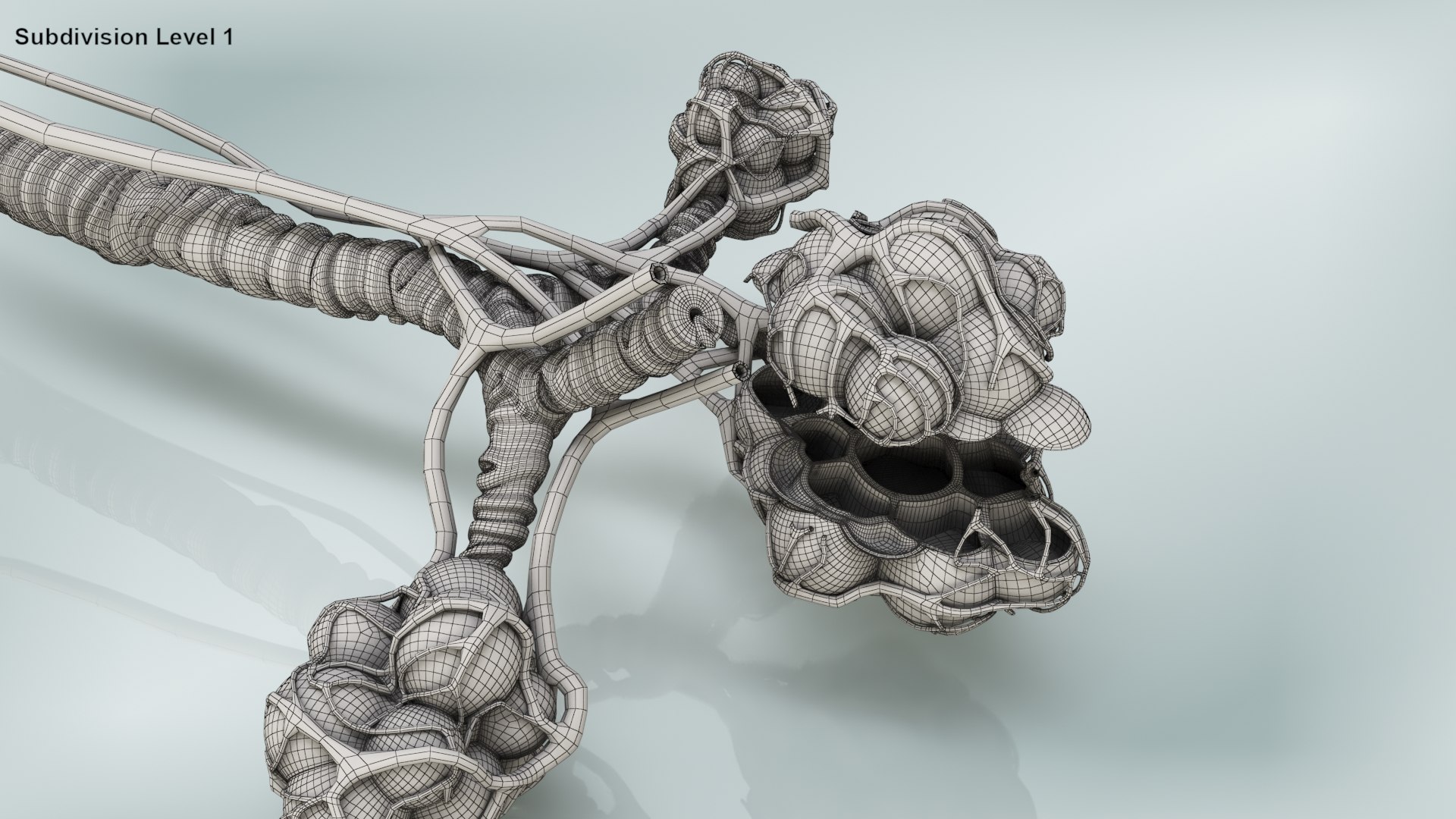 3D bronchitis alveoli mucus lungs - TurboSquid 1663222