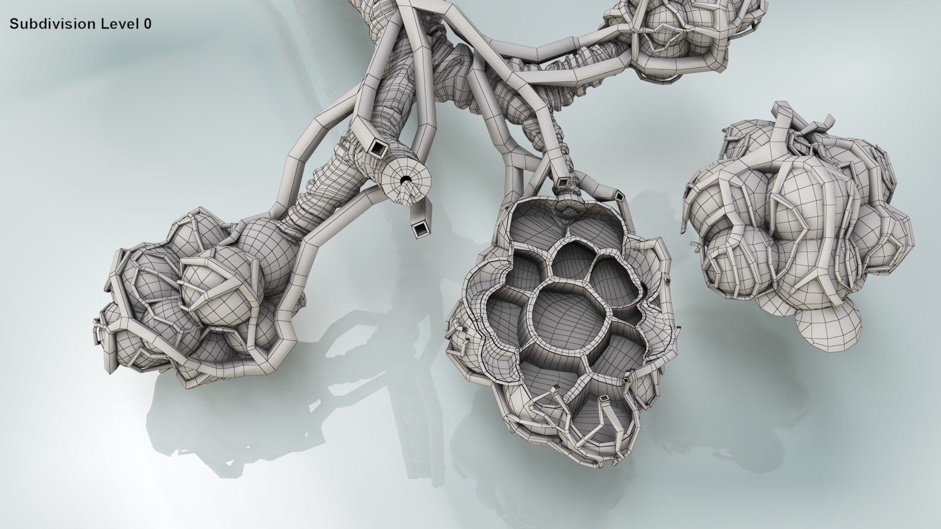 3D bronchitis alveoli mucus lungs - TurboSquid 1663222