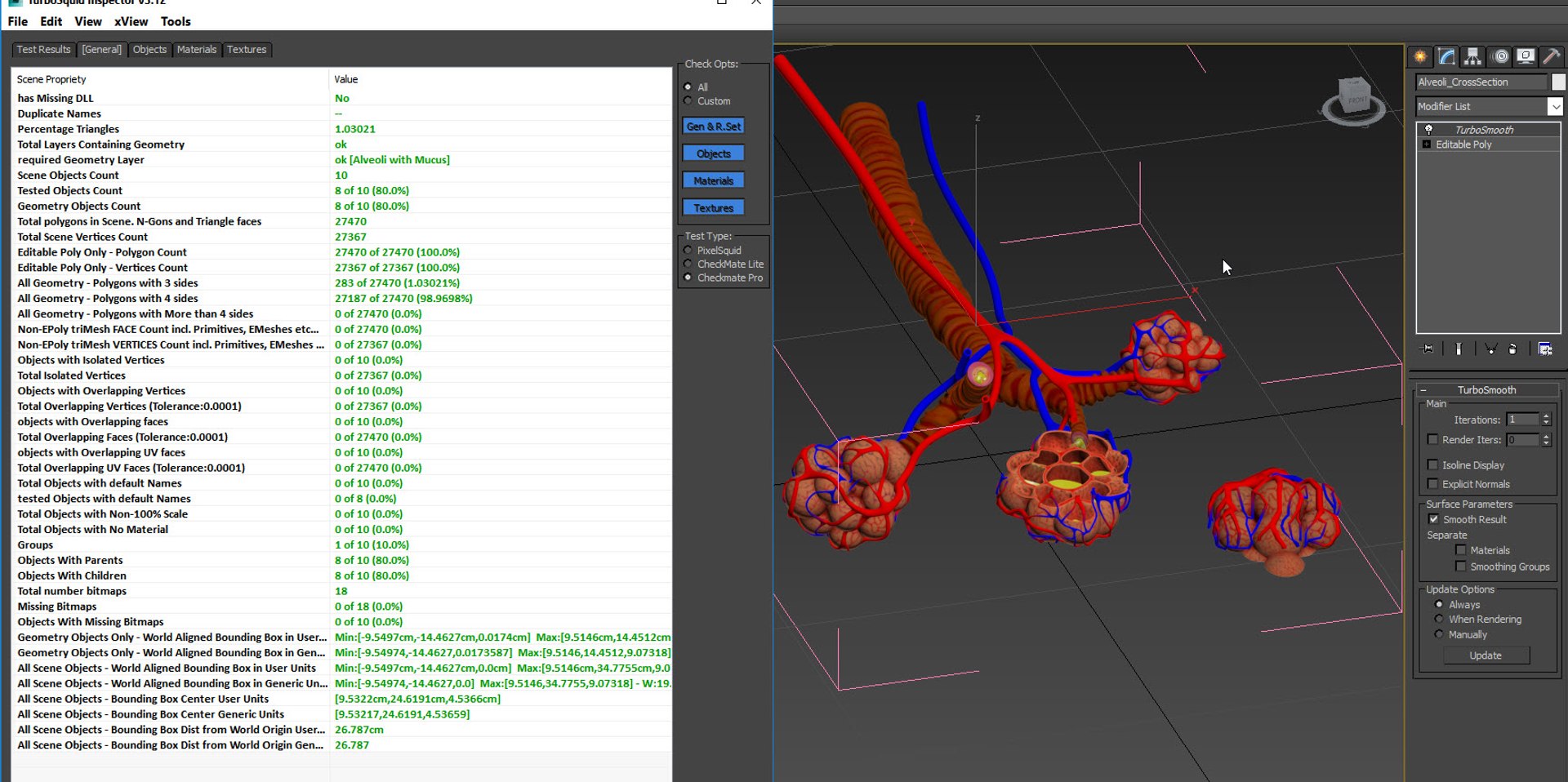 3D Bronchitis Alveoli Mucus Lungs - TurboSquid 1663222