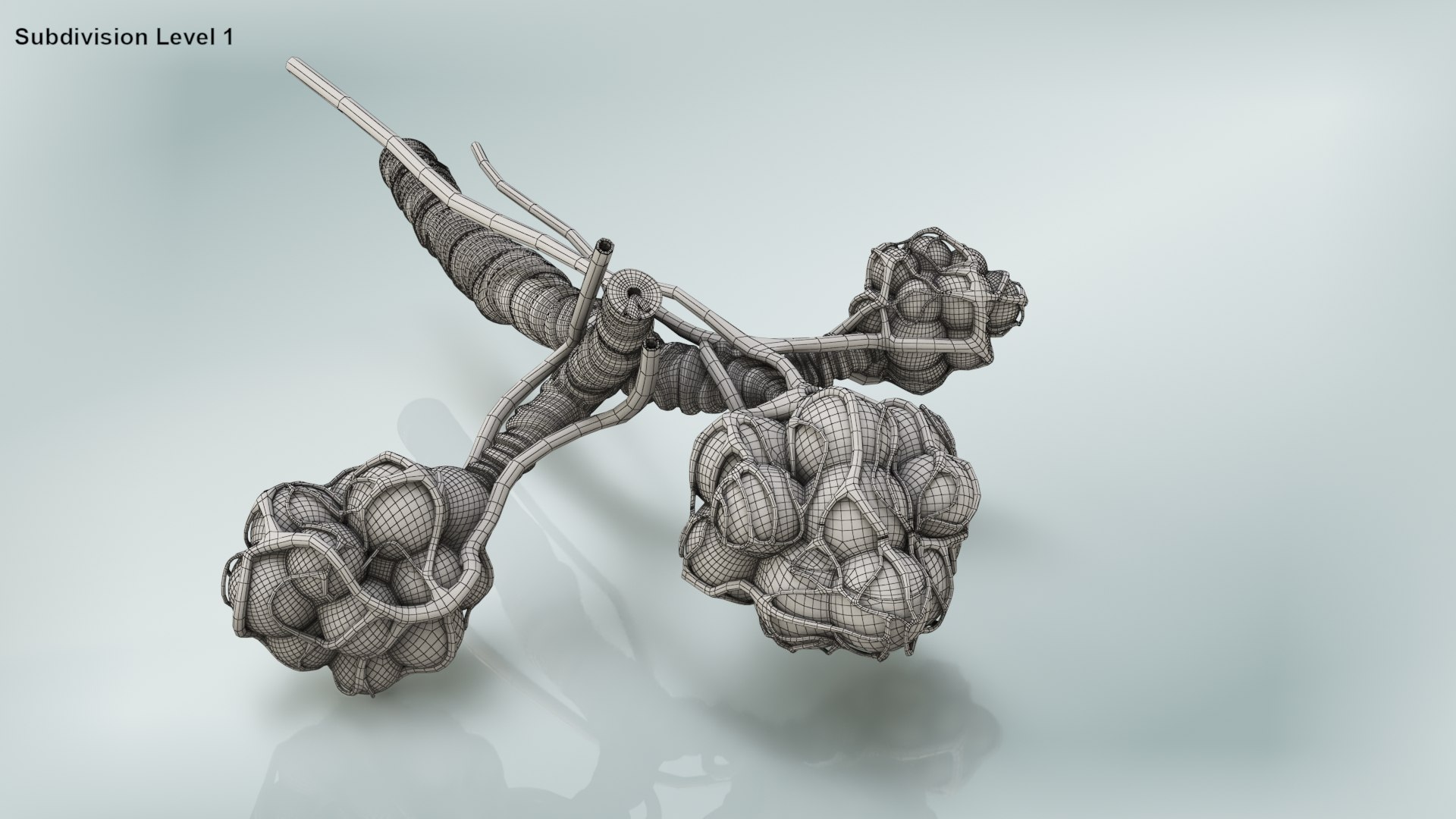 3D bronchitis alveoli mucus lungs - TurboSquid 1663222