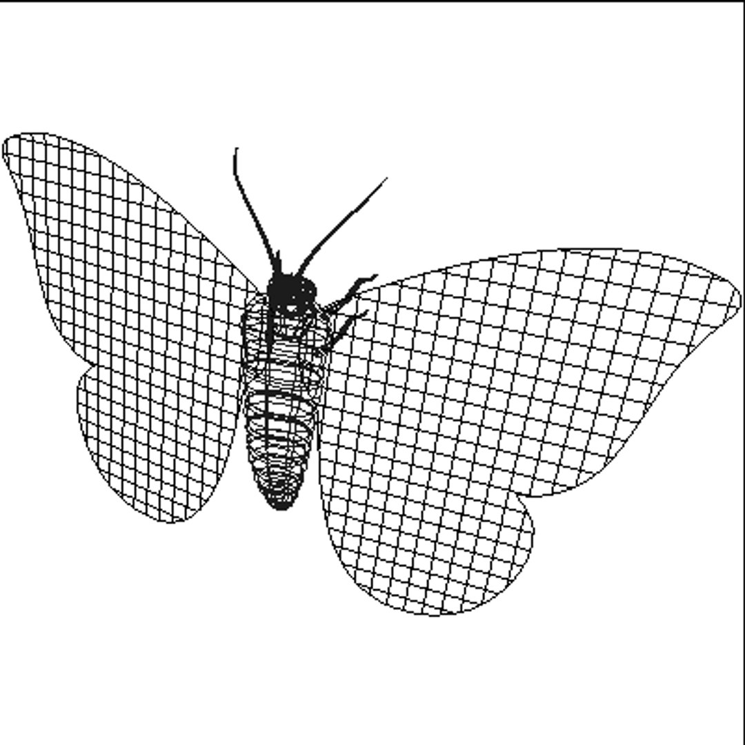 Ma Moth Animation
