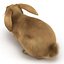 Rabbit Pose 2 3D Model