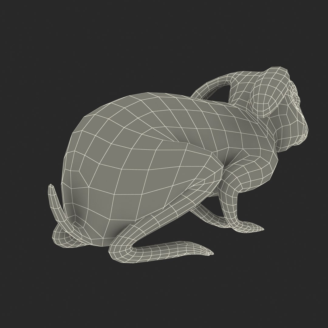 rabbit pose 2 3d model https://p.turbosquid.com/ts-thumb/0n/KNtnT4/4CEdmY8u/rabbit3dmodel27/jpg/1458110743/1920x1080/fit_q87/e828ec567d6e9e227db222c945fe3a3e709b1811/rabbit3dmodel27.jpg