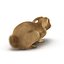 Rabbit Pose 2 3D Model