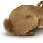 Rabbit Pose 2 3D Model
