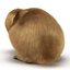 Rabbit Pose 2 3D Model