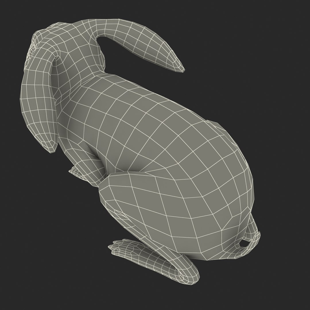 rabbit pose 2 3d model https://p.turbosquid.com/ts-thumb/0n/KNtnT4/C73O7fFu/rabbit3dmodel30/jpg/1458110743/1920x1080/fit_q87/cbe1362e932b5ad6bbb38e67aed6628a53a14b35/rabbit3dmodel30.jpg