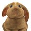 Rabbit Pose 2 3D Model