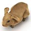 Rabbit Pose 2 3D Model