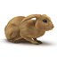 Rabbit Pose 2 3D Model