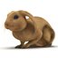 Rabbit Pose 2 3D Model