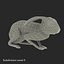 Rabbit Pose 2 3D Model
