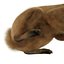 Rabbit Pose 2 3D Model