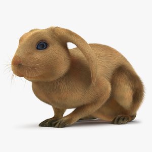rabbit pose 2 3d model