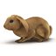 Rabbit Pose 2 3D Model
