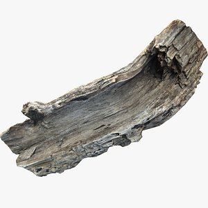 A realistic section of tree trunk 3D model
